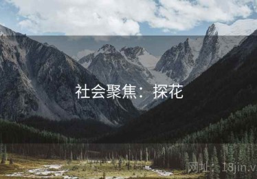 社会聚焦：探花