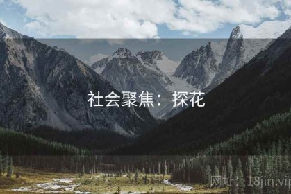 社会聚焦：探花