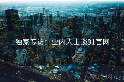 独家专访：业内人士谈91官网