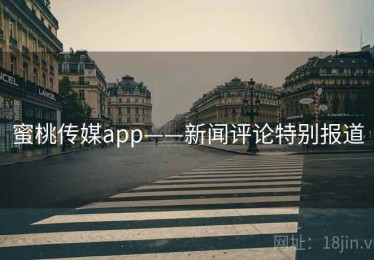 蜜桃传媒app——新闻评论特别报道