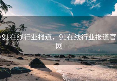 91在线行业报道，91在线行业报道官网