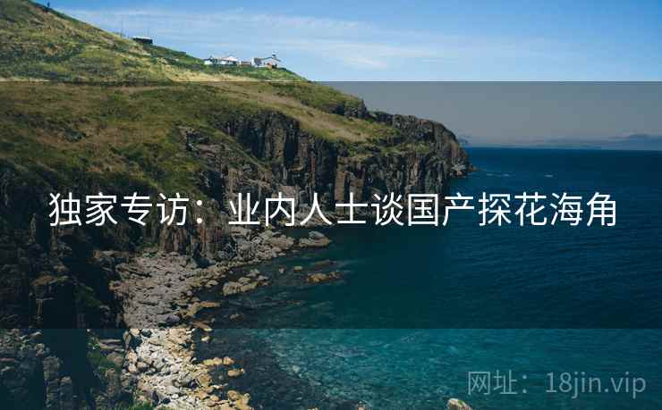 独家专访：业内人士谈国产探花海角