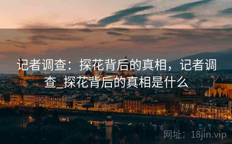 记者调查：探花背后的真相，记者调查_探花背后的真相是什么
