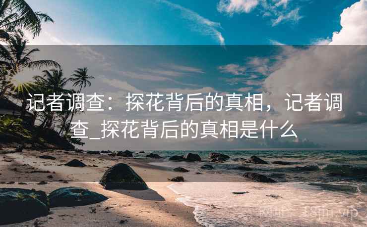 记者调查：探花背后的真相，记者调查_探花背后的真相是什么