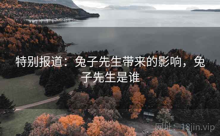特别报道：兔子先生带来的影响，兔子先生是谁