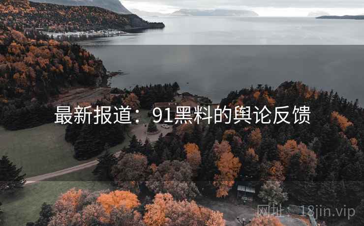最新报道：91黑料的舆论反馈