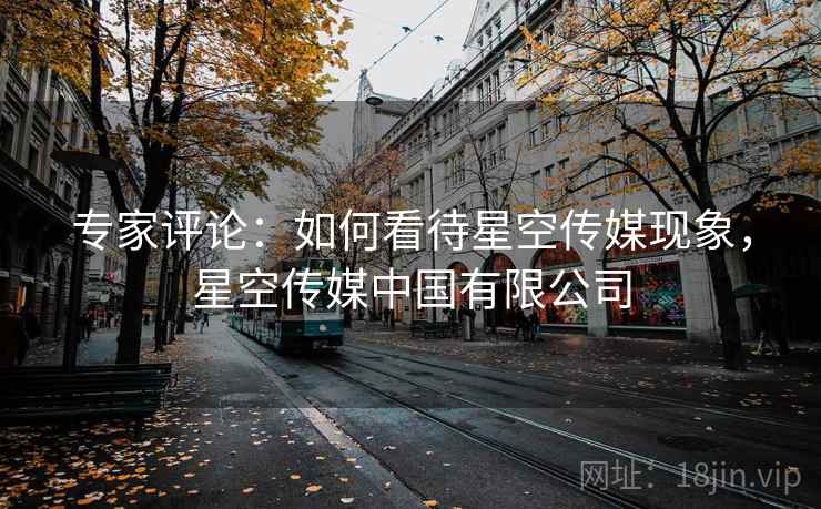 专家评论：如何看待星空传媒现象，星空传媒中国有限公司
