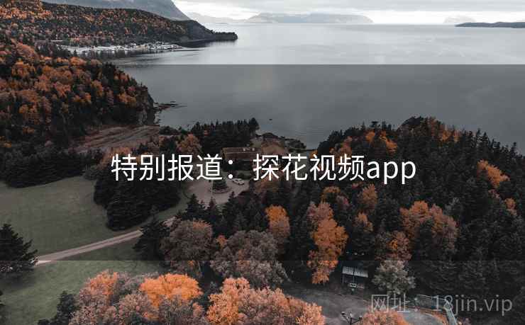 特别报道：探花视频app
