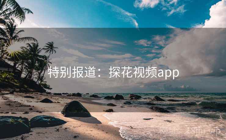 特别报道：探花视频app