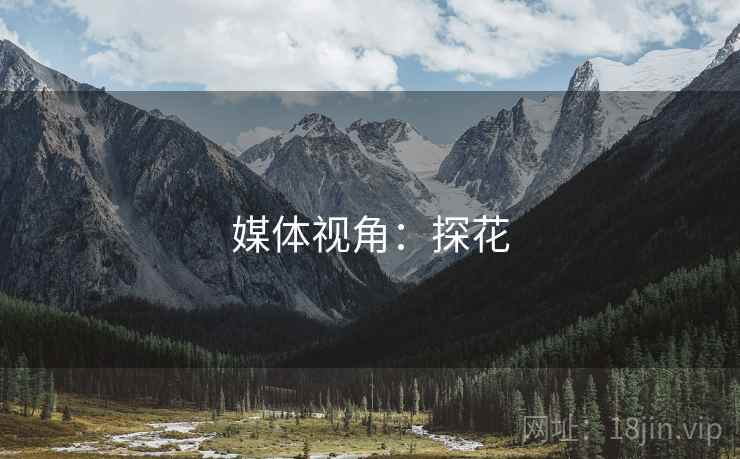 媒体视角：探花