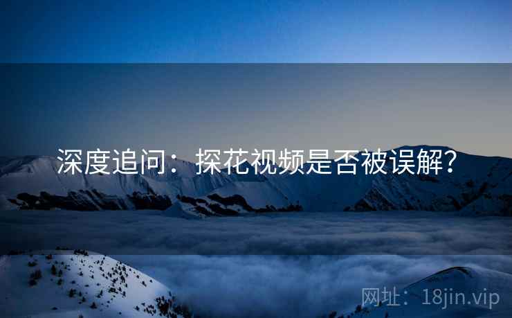 深度追问：探花视频是否被误解？