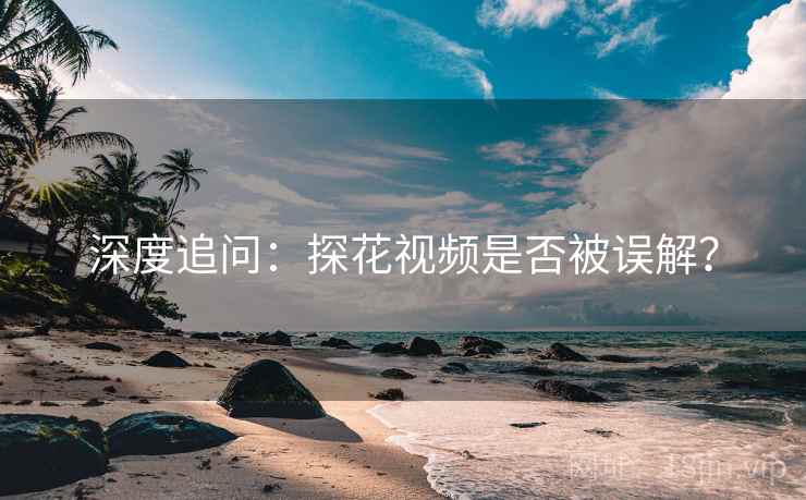 深度追问：探花视频是否被误解？