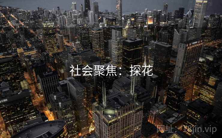 社会聚焦：探花