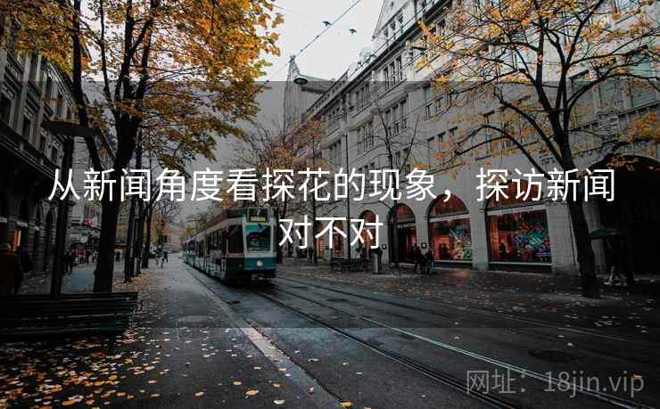 从新闻角度看探花的现象，探访新闻对不对