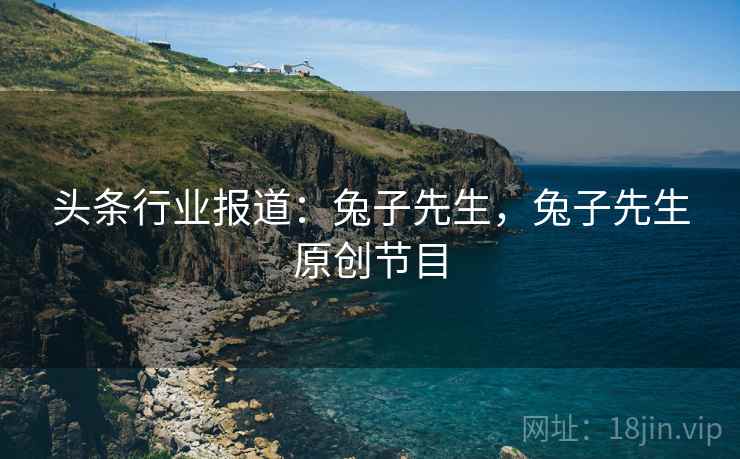 头条行业报道：兔子先生，兔子先生原创节目