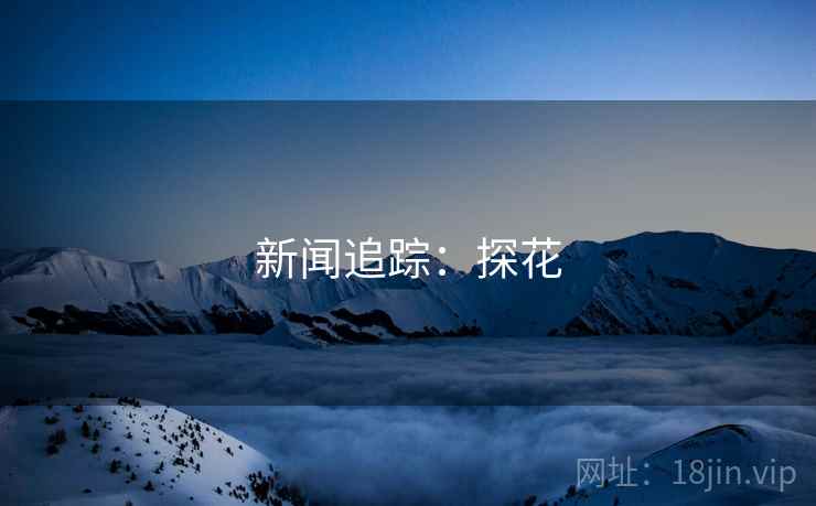 新闻追踪：探花