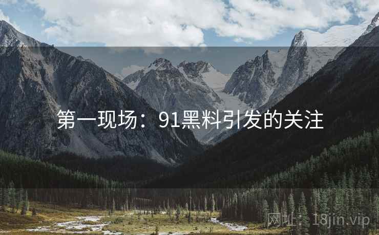 第一现场：91黑料引发的关注