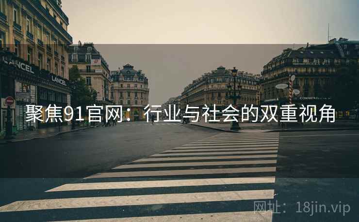 聚焦91官网：行业与社会的双重视角