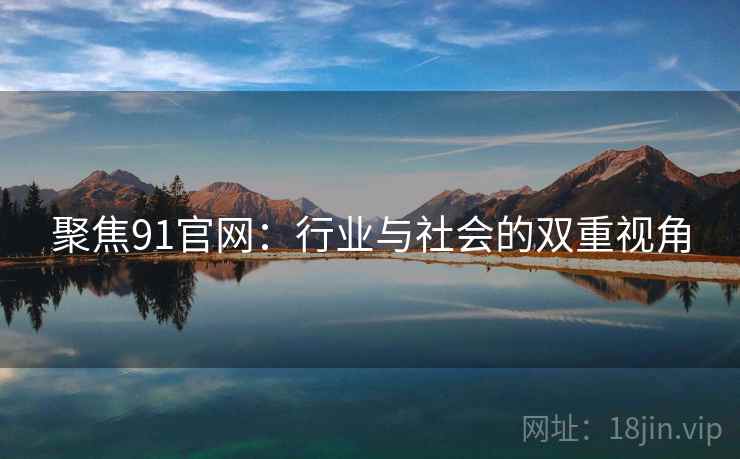 聚焦91官网：行业与社会的双重视角