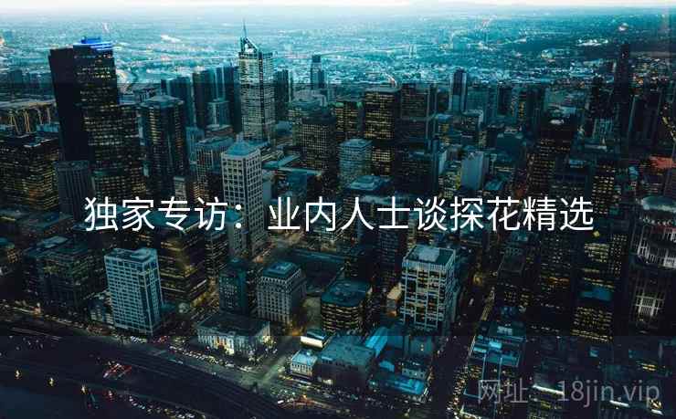 独家专访：业内人士谈探花精选