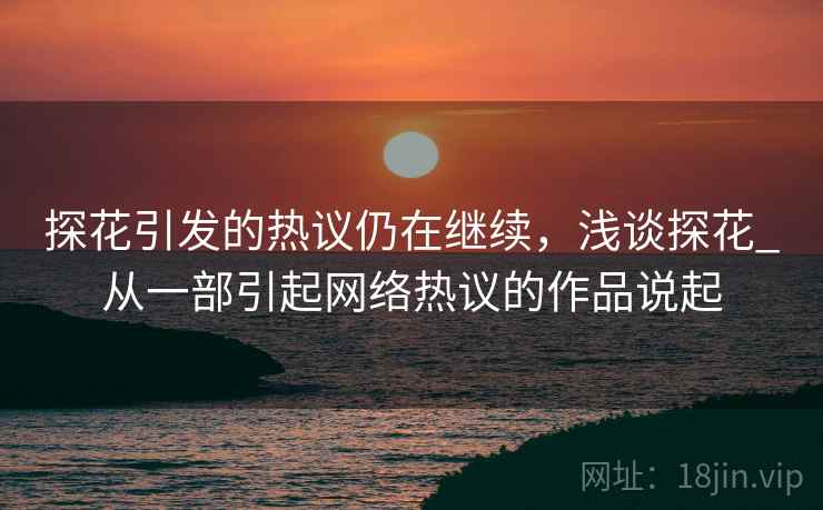 探花引发的热议仍在继续，浅谈探花_从一部引起网络热议的作品说起