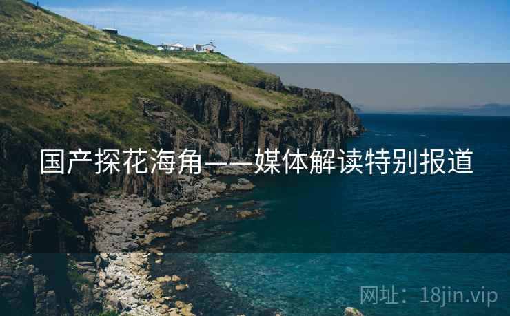 国产探花海角——媒体解读特别报道