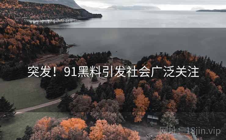 突发！91黑料引发社会广泛关注
