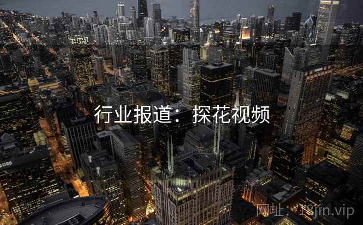 行业报道：探花视频