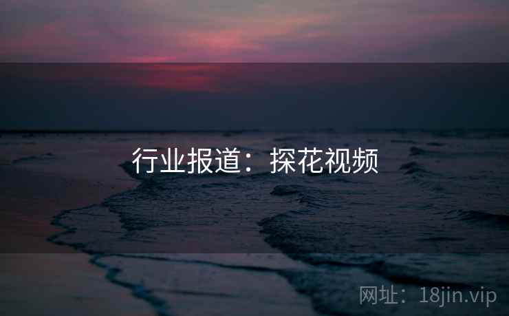 行业报道：探花视频