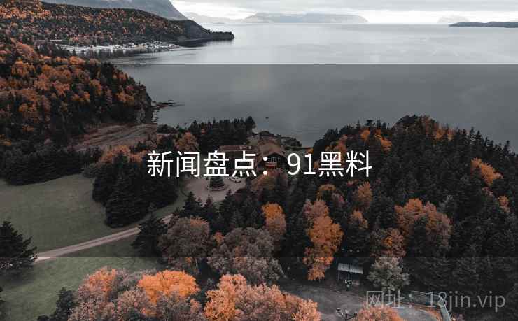 新闻盘点：91黑料