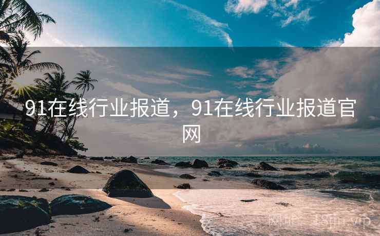 91在线行业报道，91在线行业报道官网