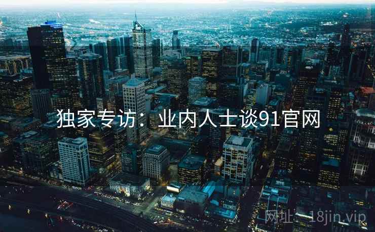 独家专访：业内人士谈91官网