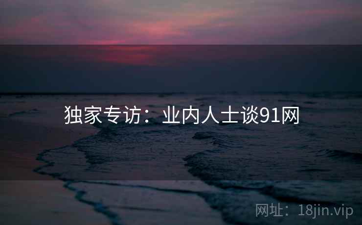 独家专访：业内人士谈91网
