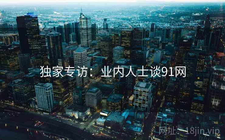 独家专访：业内人士谈91网