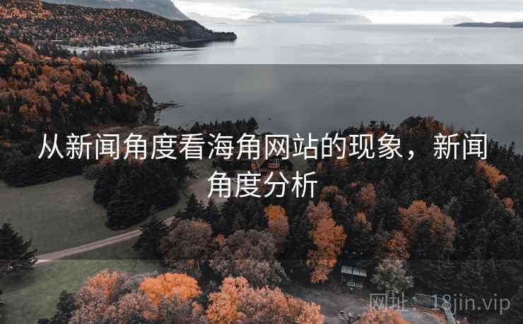 从新闻角度看海角网站的现象，新闻角度分析