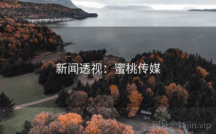 新闻透视：蜜桃传媒
