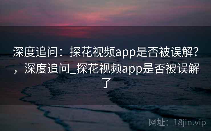 深度追问：探花视频app是否被误解？，深度追问_探花视频app是否被误解了