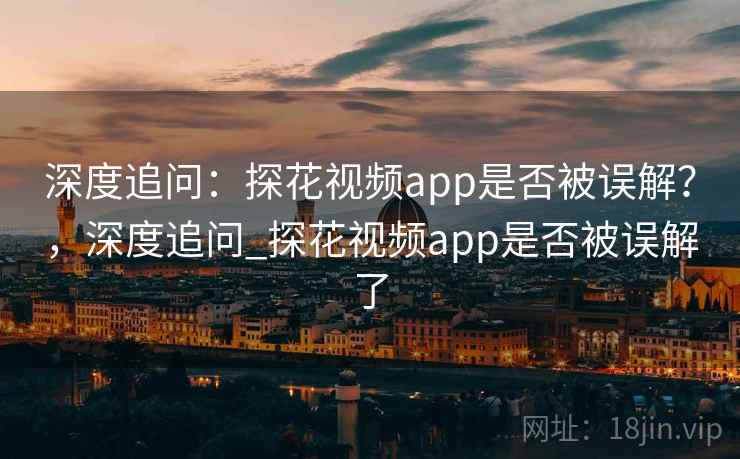 深度追问：探花视频app是否被误解？，深度追问_探花视频app是否被误解了