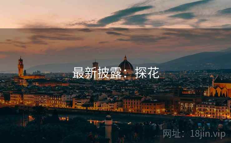 最新披露：探花