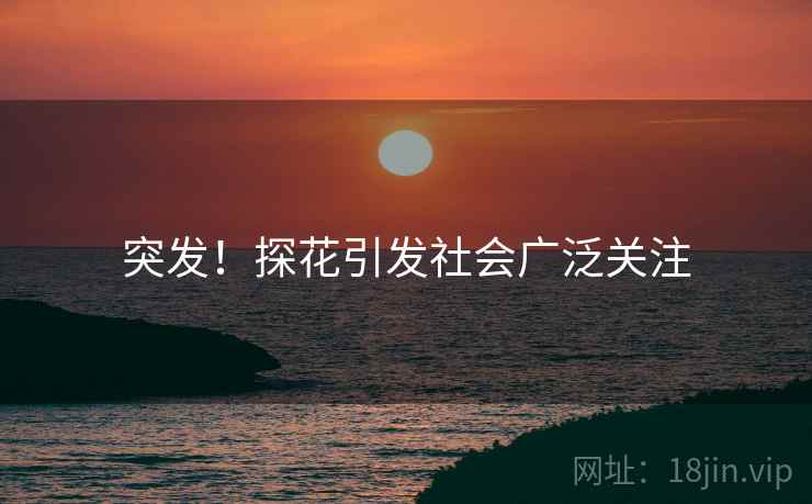 突发！探花引发社会广泛关注