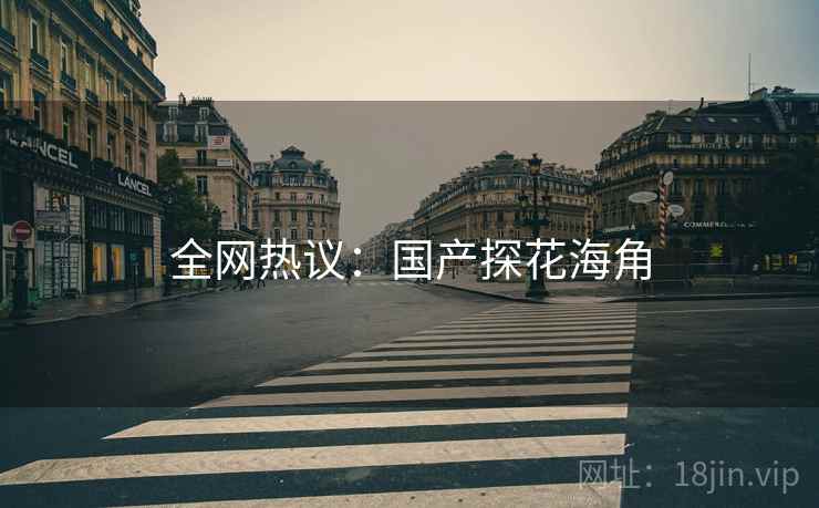 全网热议：国产探花海角