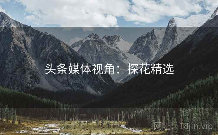 头条媒体视角：探花精选